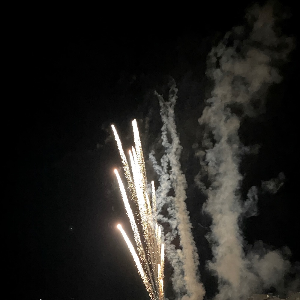 Meet your Posher, Ava